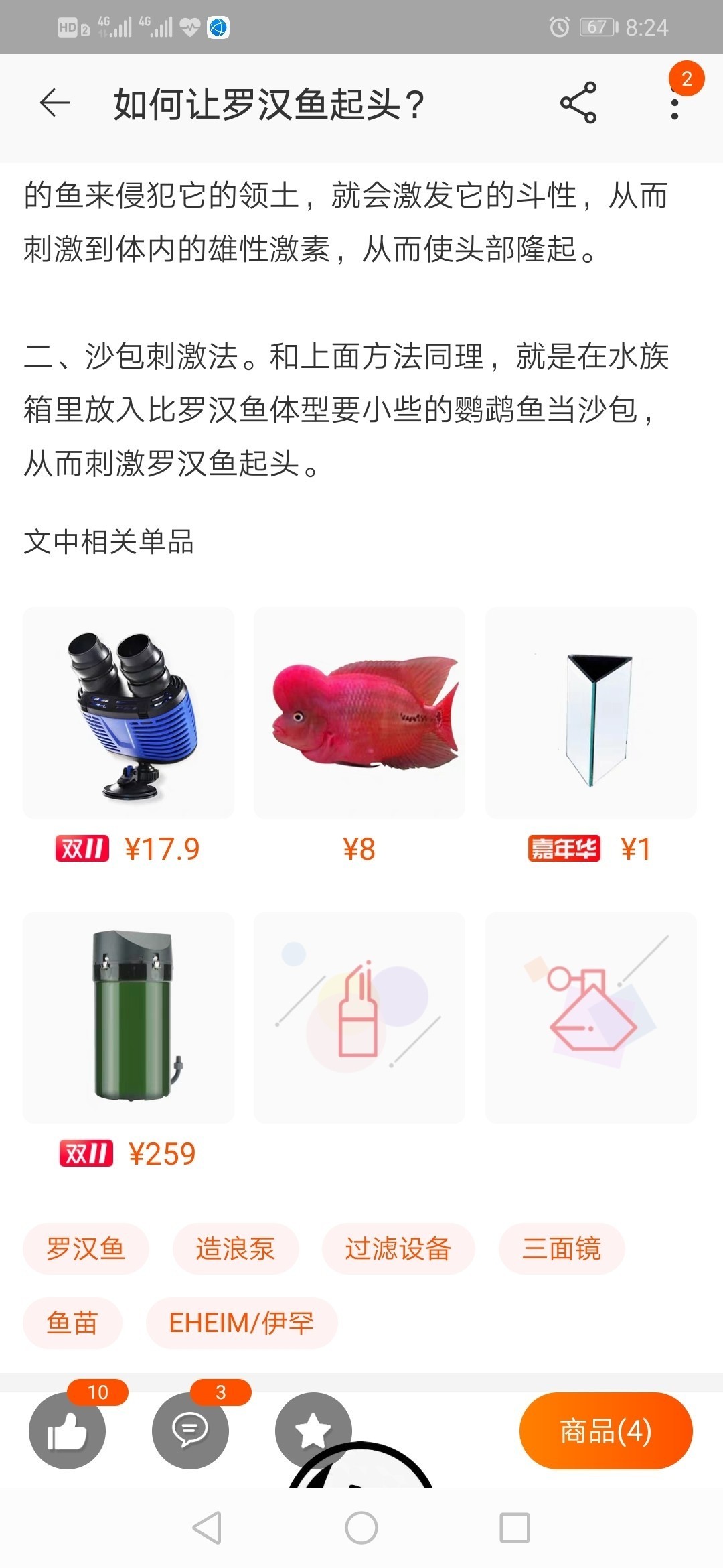 金龍魚市場價多少錢