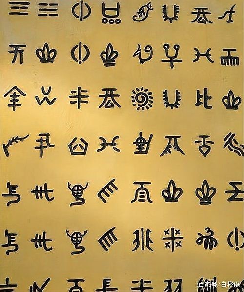 水族的書籍書本