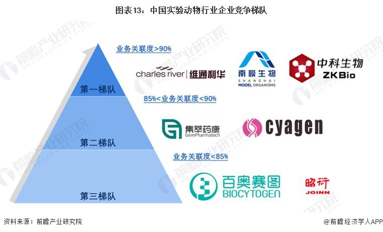 實驗動物公司十大排名