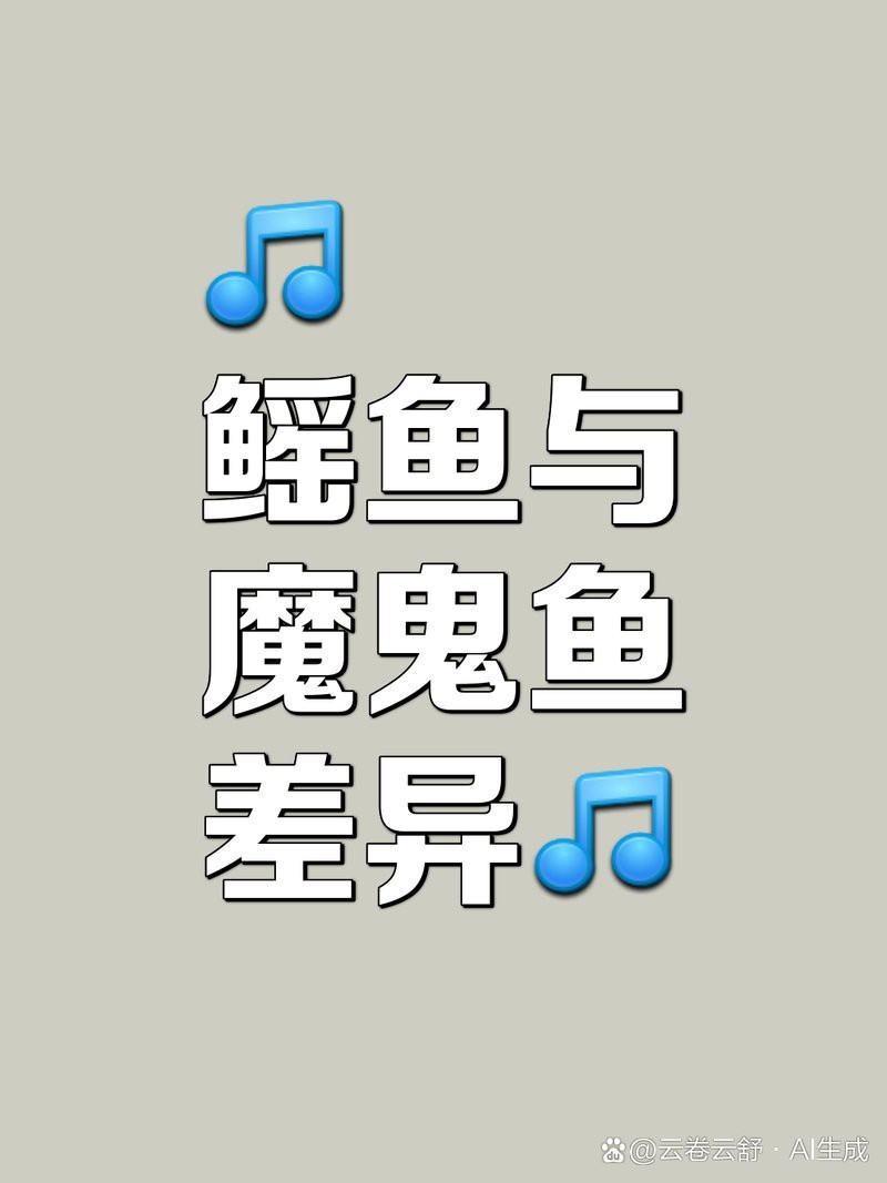 蝠鲼和鰩魚的區(qū)別