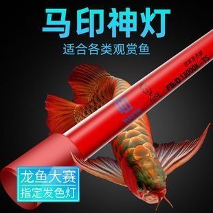 諸暨市野豐水族館（諸暨野魚堂餐廳怎么樣）
