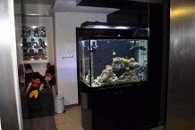 怎樣算是魚缸正對門