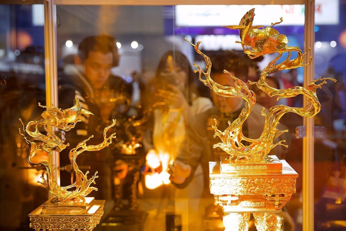 過背金龍魚養多久認主人 過背金龍魚養多久認主人 龍魚論壇 第3張