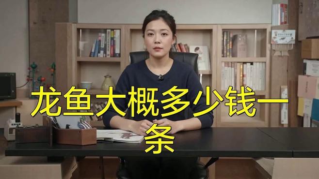 藍色金龍魚值多少錢一條啊圖片