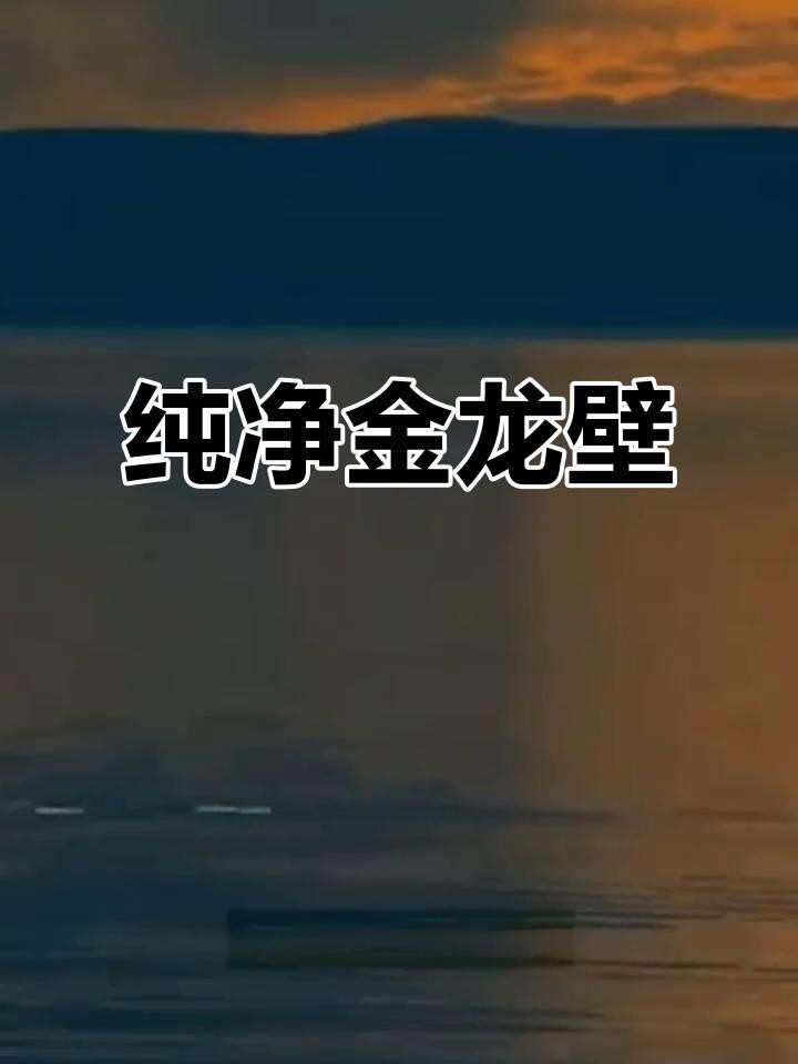 金龍魚壁紙有哪些高清推薦？