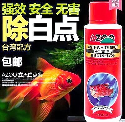 魚的白點(diǎn)病會(huì)自愈嗎