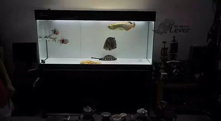 森森魚缸底柜拆解圖和視頻 森森魚缸底柜拆解圖和視頻 龍魚論壇 第5張