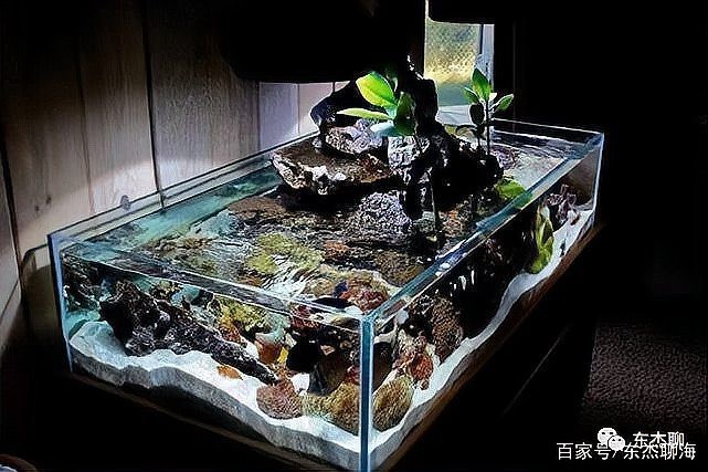森森魚缸底柜拆解圖和視頻 森森魚缸底柜拆解圖和視頻 龍魚論壇 第4張