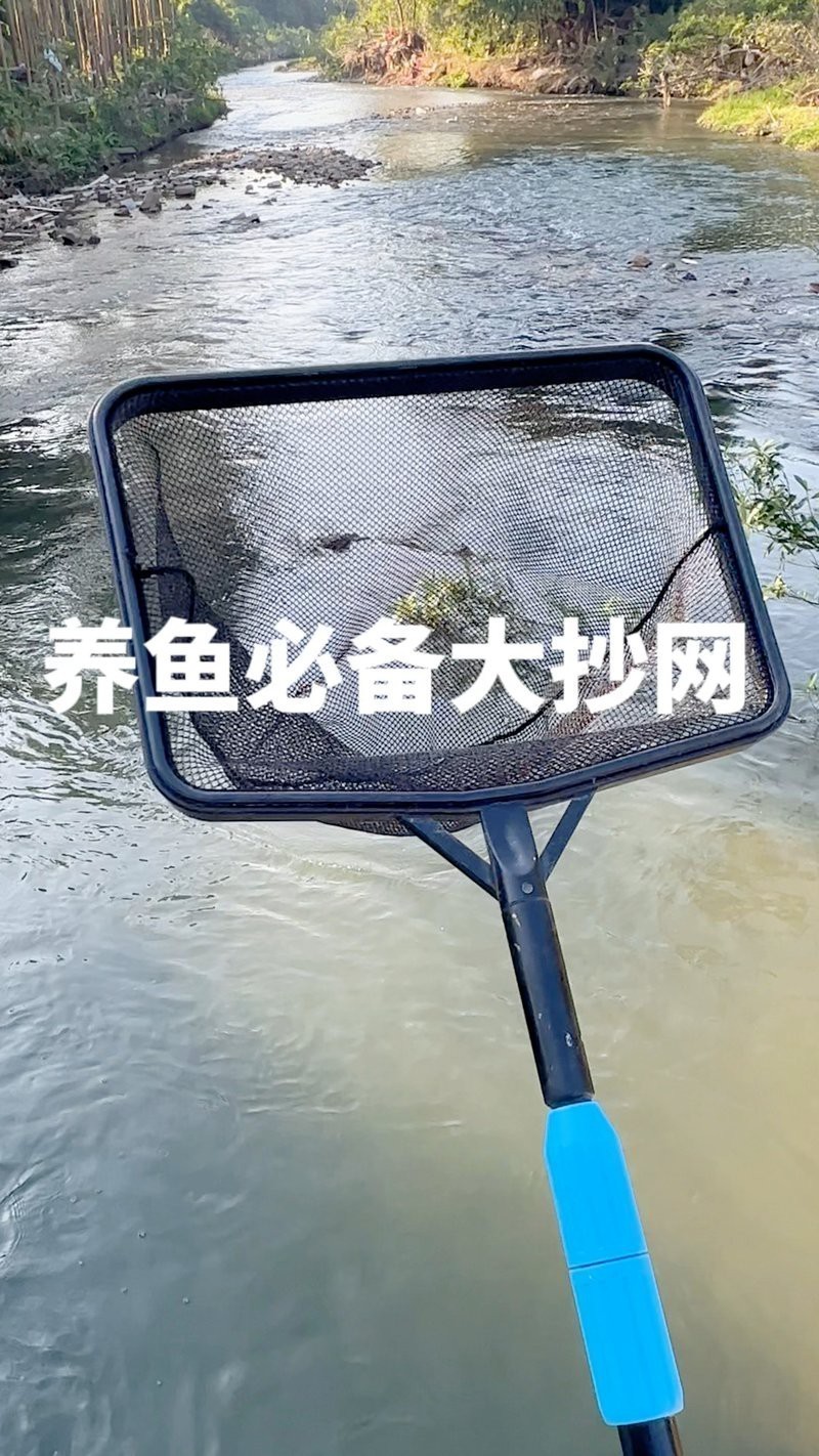 德國伊罕魚缸抄網(wǎng)魚撈水族魚