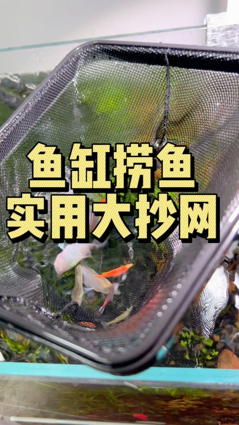 德國伊罕魚缸抄網(wǎng)魚撈水族魚