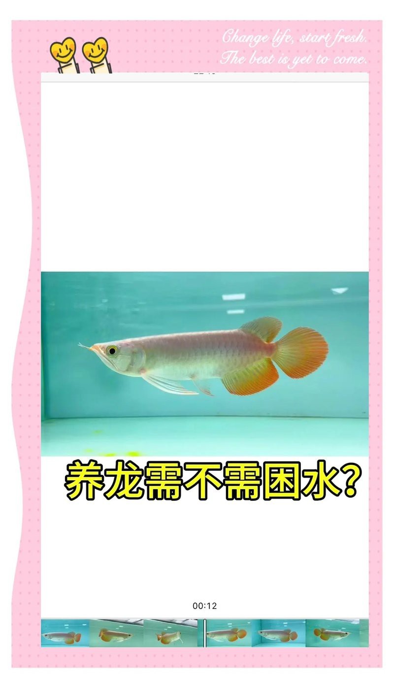 龍魚殺菌后換水需要困水嗎
