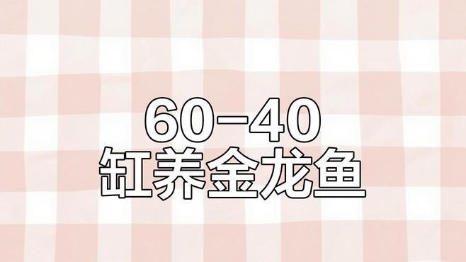 古典金龍需要多大的魚缸