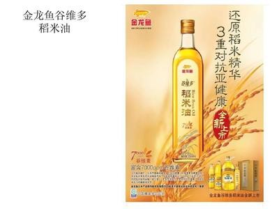 紅龍魚冠軍視頻大全圖片（紅龍魚冠軍視頻大全圖片高清）
