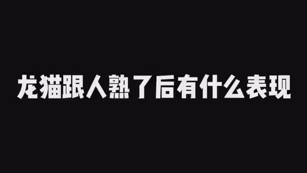 龍貓親人后會有哪些表現(xiàn)？ 龍貓親人后會有哪些表現(xiàn)？ 龍魚論壇 第2張