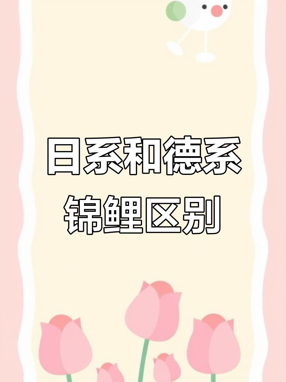 德系錦鯉屬于什么檔次