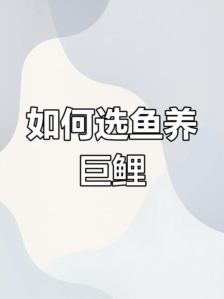 德系錦鯉屬于什么檔次