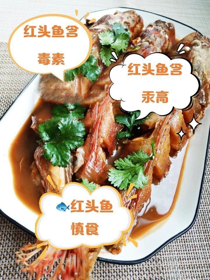 紅頭魚是深海魚嗎