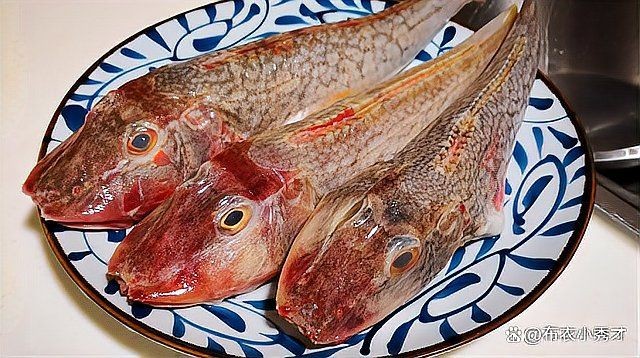紅頭魚是深海魚嗎