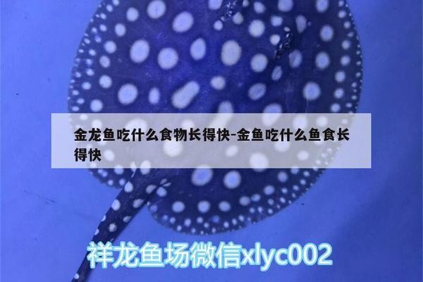 新鄉(xiāng)市平原示范區(qū)凱凱漁具店（新鄉(xiāng)市平原示范區(qū)凱凱漁具店電話號(hào)碼）