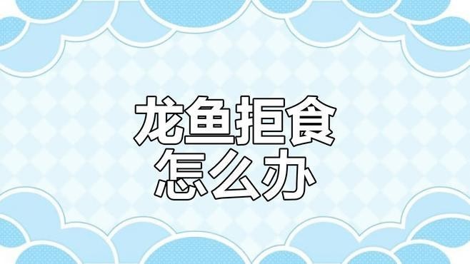 龍魚拒食期間需要喂食嗎？
