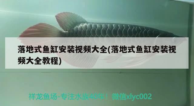 東營區弘善水族器材經營部（東營區弘善水族器材經營部電話）