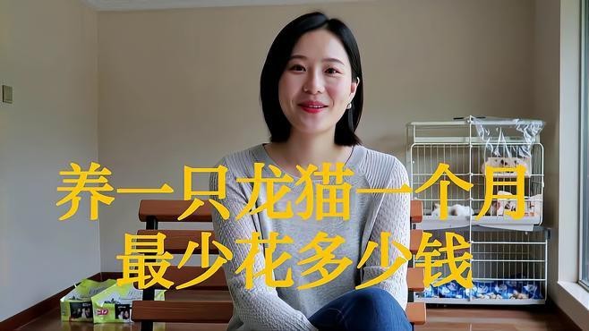 龍貓的飼養成本大概是多少？