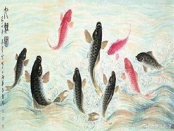 虎魚什么顏色最旺財