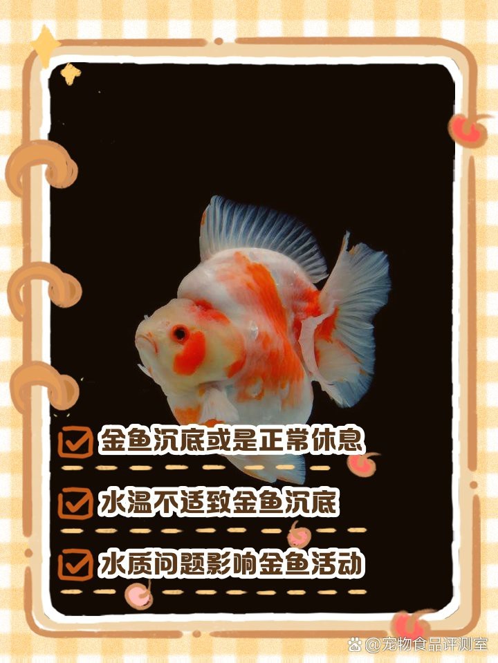 金魚沉底是不是要死了