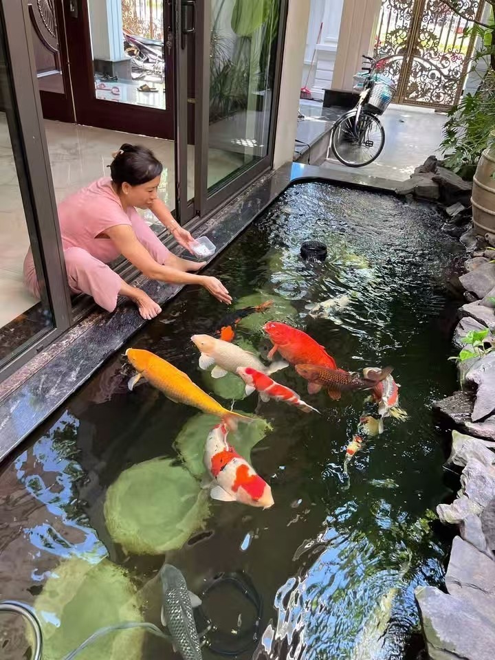 好好養魚??養好魚??