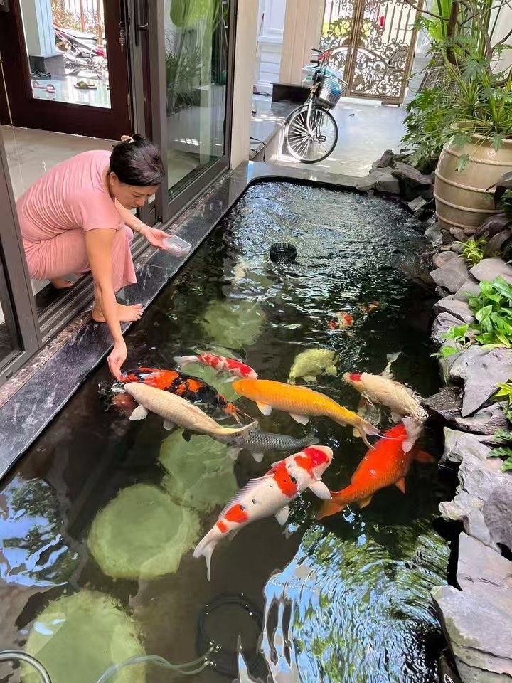 好好養魚??養好魚??