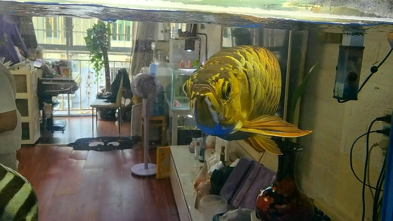 9年169天
