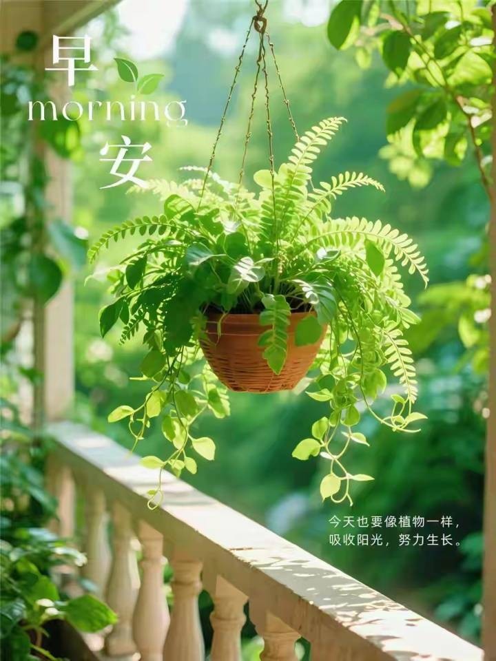 每件事都能如愿以償