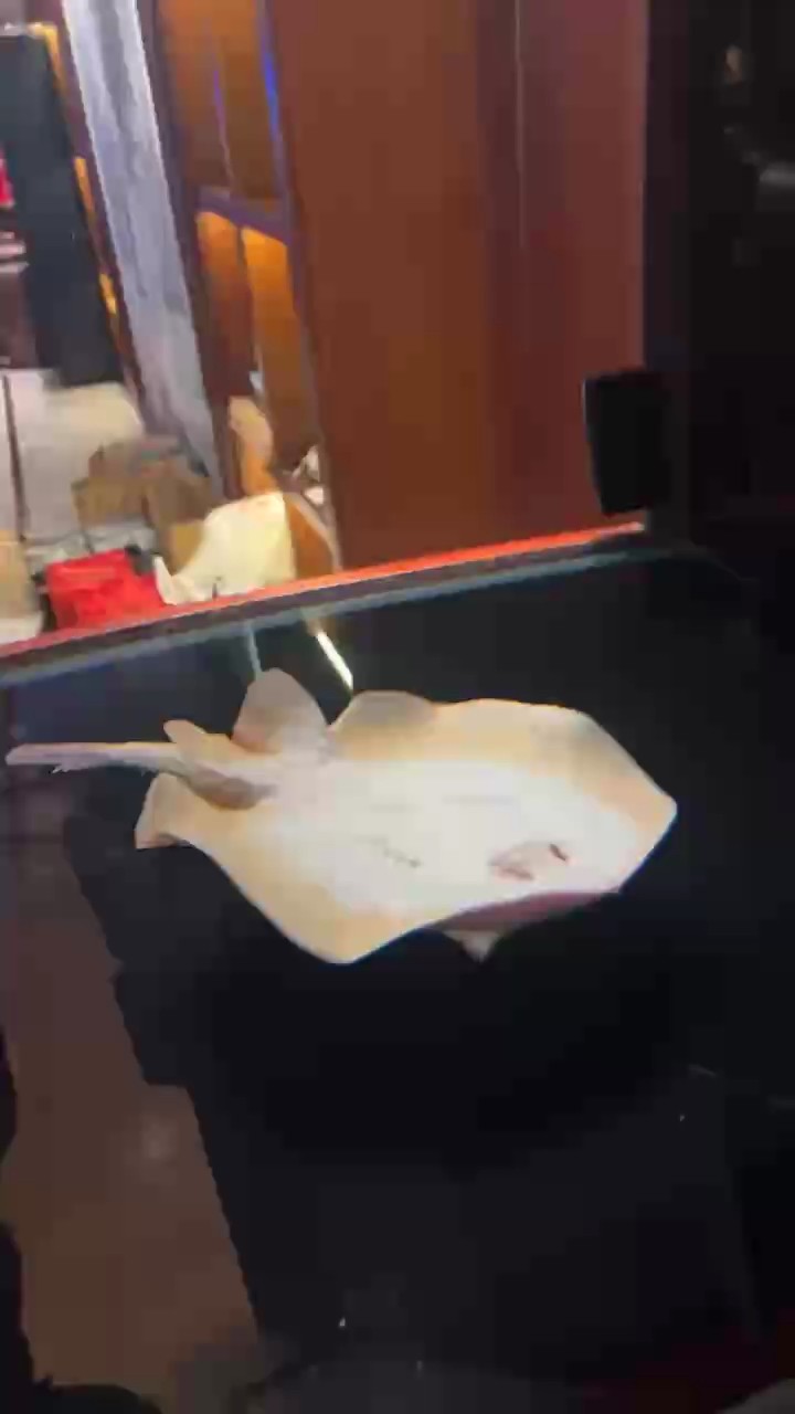虹魚翻身怎么回事