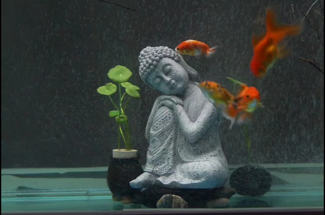 新造一景，被迫改了造型。