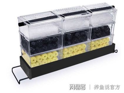 魚缸水質管理的科學方法，：魚缸水質管理的技巧