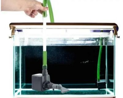 魚缸水質管理的科學方法，：魚缸水質管理的技巧