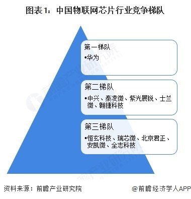 帝龍芯片的主要競爭對手有哪些？