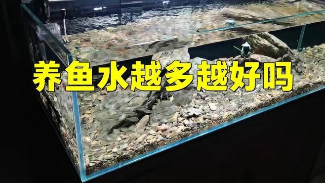 龍魚缸水位過高會有什么影響？