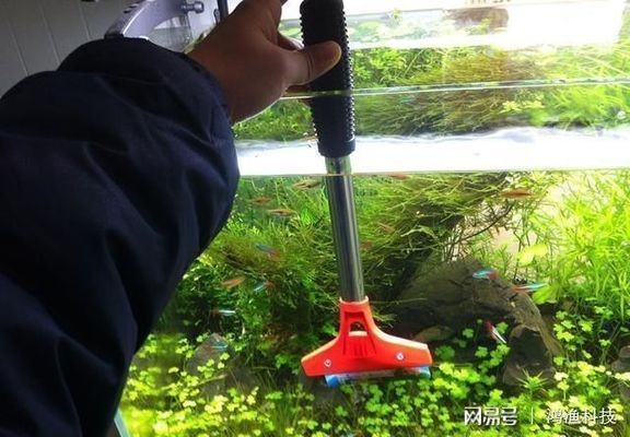 魚缸澄清劑使用方法圖解：魚缸水質(zhì)檢測方法，魚缸澄清劑的使用方法