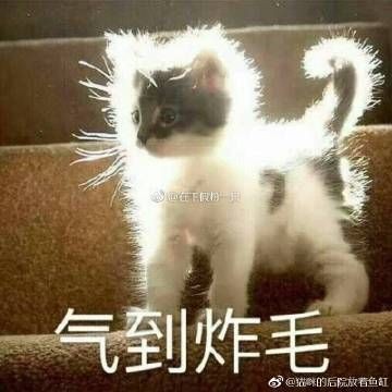 后院魚缸的擺放風(fēng)水禁忌：后院魚缸擺放禁忌