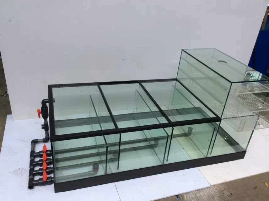 反沖洗魚缸過濾器的安裝與優化：反沖洗魚缸底部過濾器的安裝