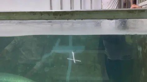 愛養魚的李老板巨骨舌魚 愛養魚的李老板巨骨舌魚 龍魚論壇 第3張
