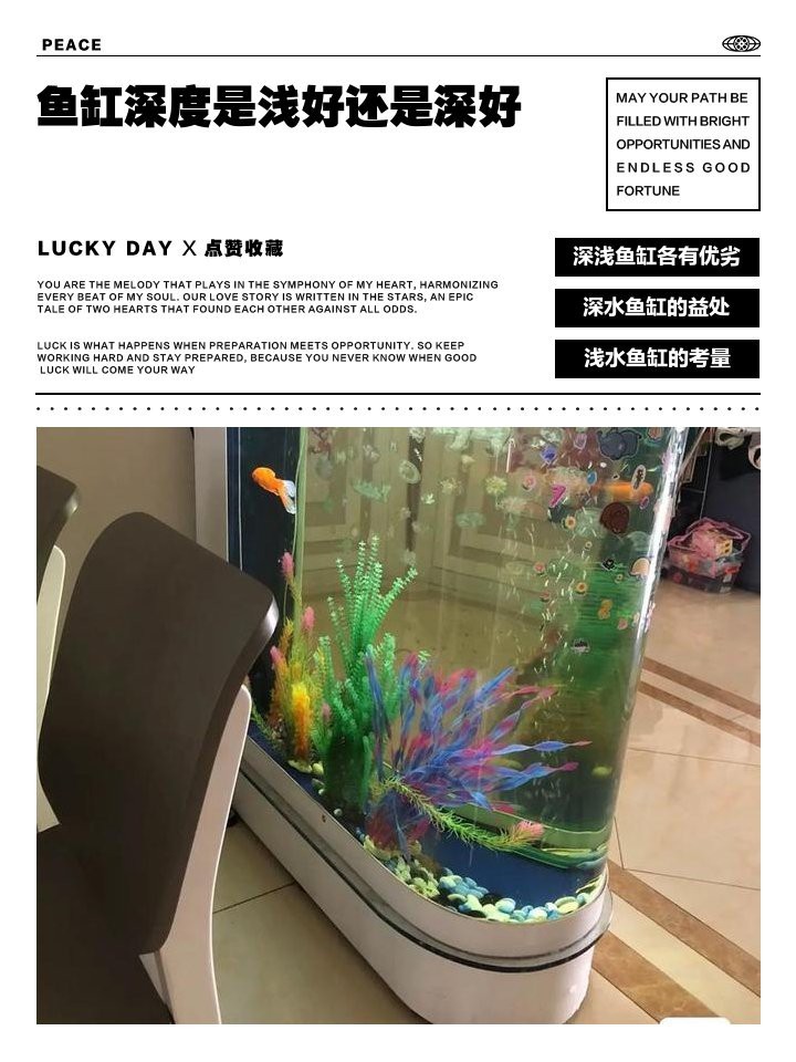 深缸適合養(yǎng)什么魚