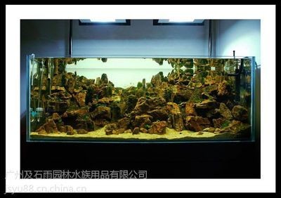 廣州魚缸造景批發市場在哪里進貨便宜點（廣州魚缸造景市場的競爭態勢廣州魚缸造景市場的競爭態勢）