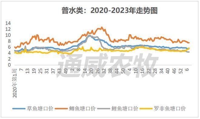 黃尾龍魚價格行情走勢：黃尾龍魚價格行情走勢總結：黃尾龍魚價格行情走勢