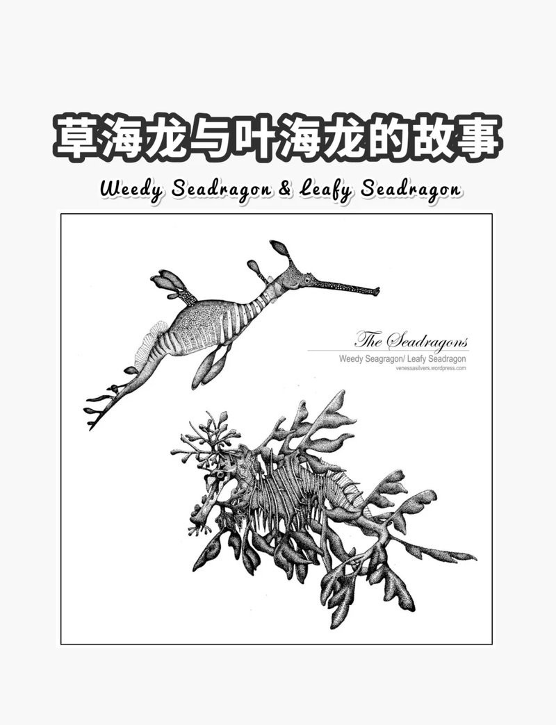 淡水海龍