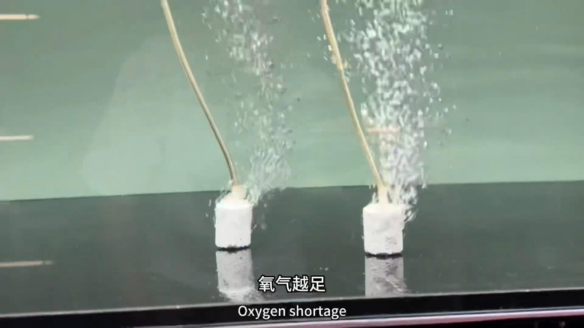 能否提供龍魚缸開缸視頻教程？