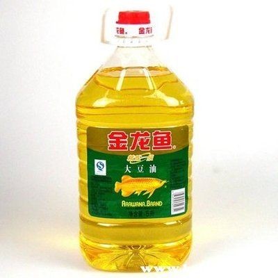 金龍魚(yú)現(xiàn)在價(jià)格表多少錢（金龍魚(yú)觀賞魚(yú)養(yǎng)殖技巧金龍魚(yú)觀賞魚(yú)養(yǎng)殖技巧）