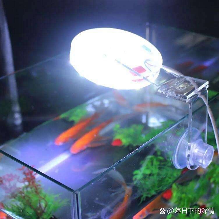 龍魚夜燈使用多久需要休息？