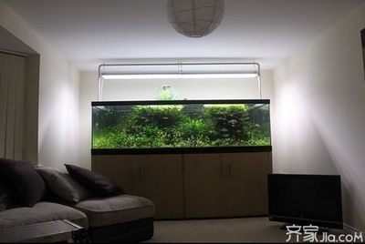 魚缸擺放與家居布局關系：風水學中魚缸與神臺的正確布局,魚缸擺放避開哪些不利方位？